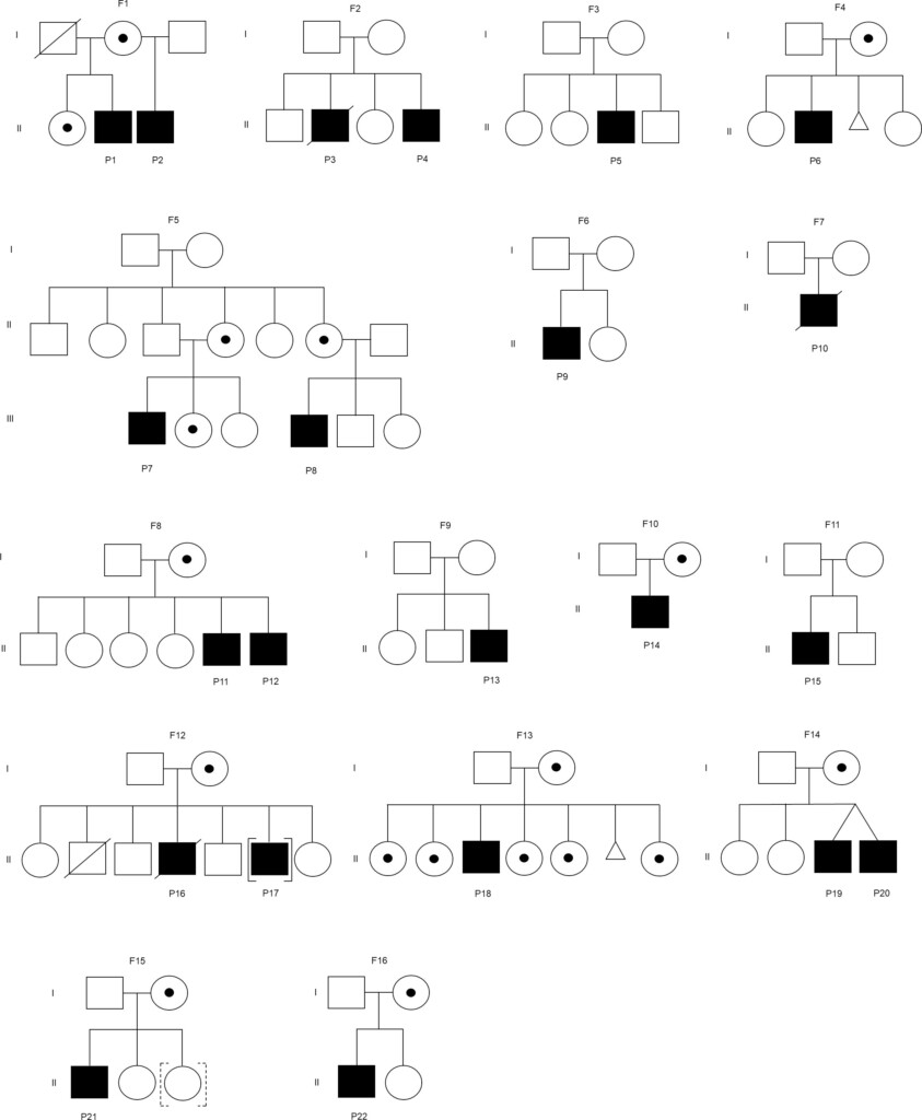 Turner Syndrome Pedigree Chart