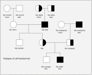 Using PTC Paper To Study Genetics And Heredity Kristin Moon Science