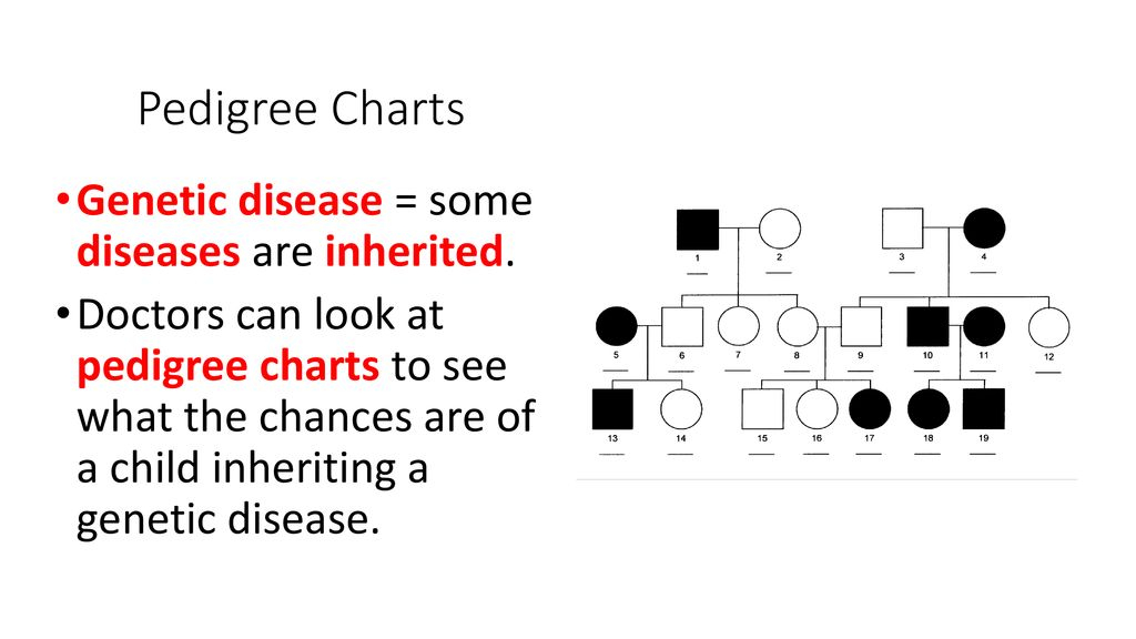 Variation Learning Objectives Ppt Download