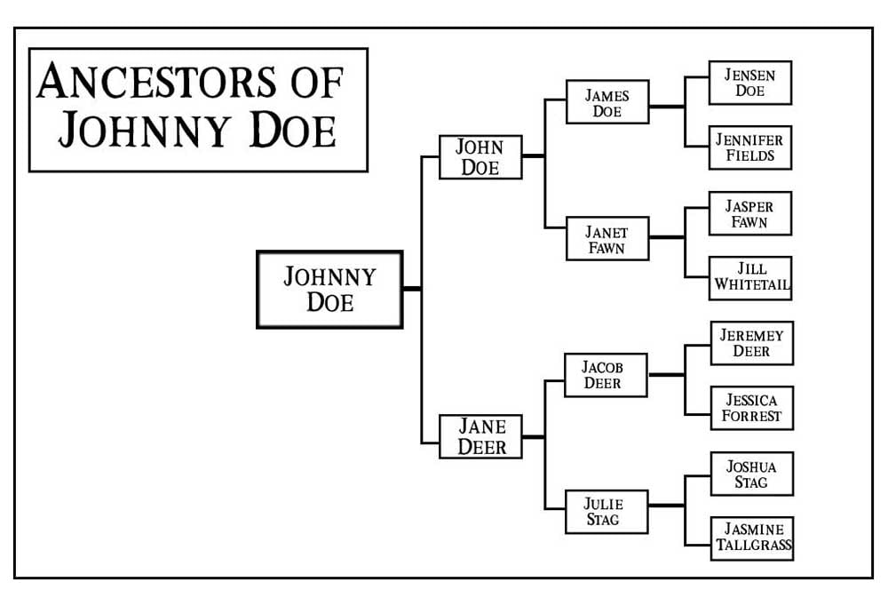 What Is A Pedigree Chart In Genealogy Root To Branches