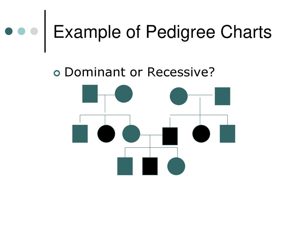 What Is A Pedigree Chart Ppt Download