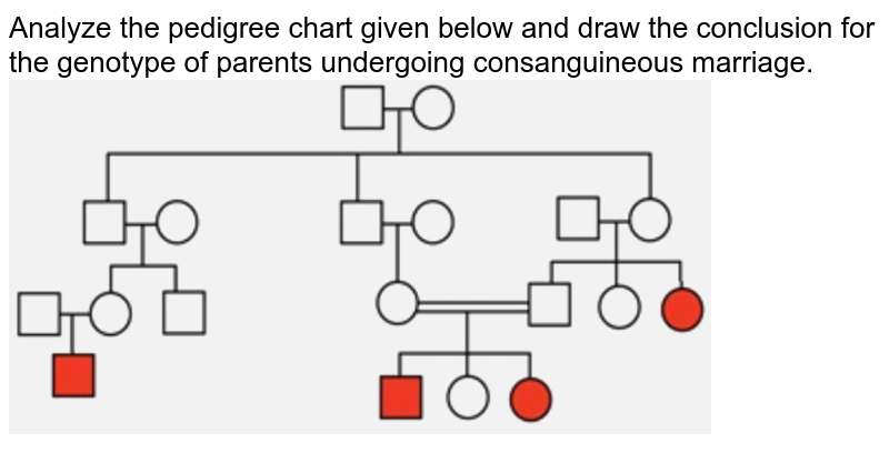What Is Consanguineal Marriage Why Is The Appearing Of Genetic Di