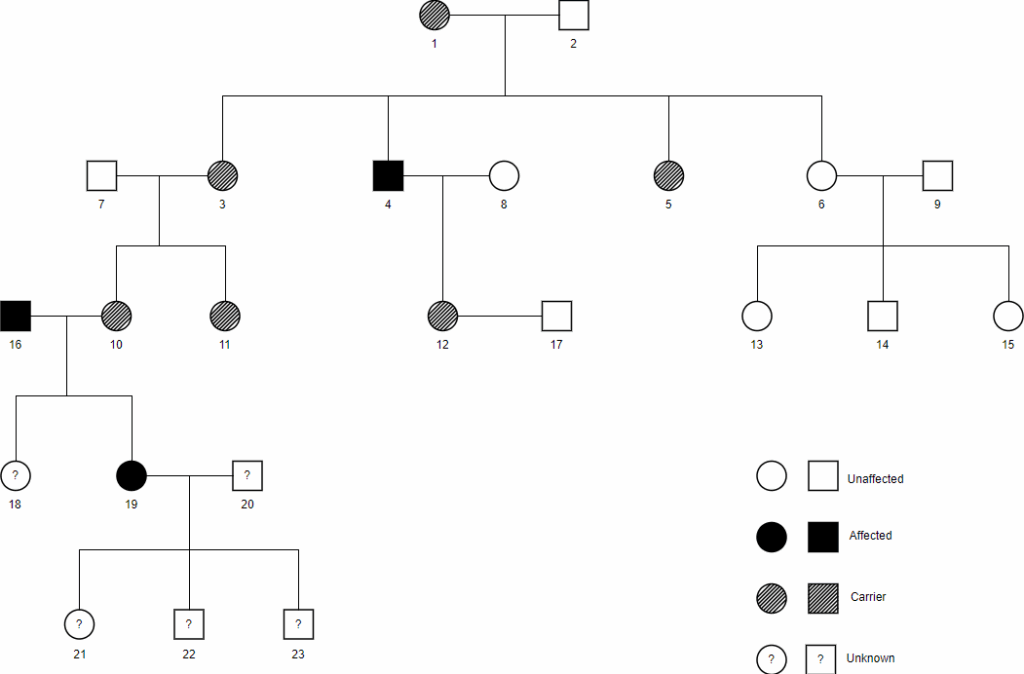 What Is Pedigree Chart 
