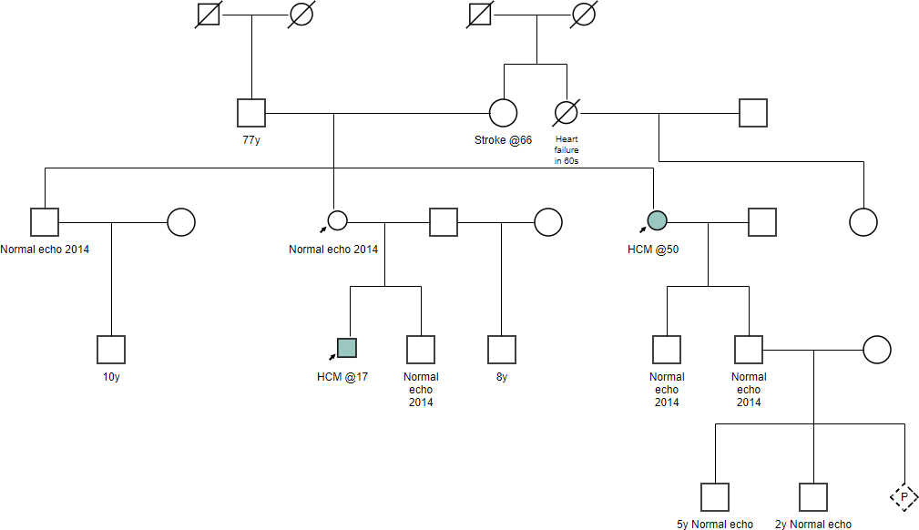 What Is Pedigree Chart 