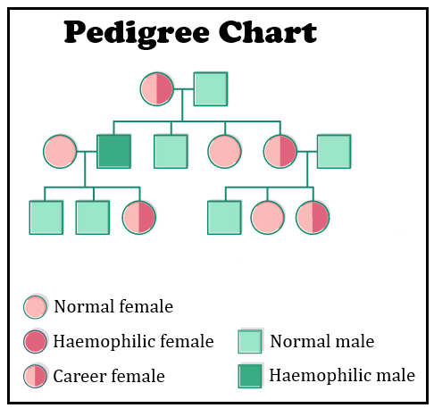 What Is The Pedigree Analysis Suggest How Such An Analysis Can Be Useful 
