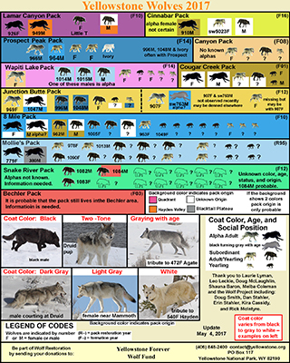 Yellowstone Wolf Chart 2017